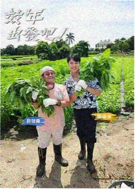 继母题材影视资讯配图